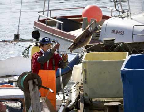 pescador deportivo