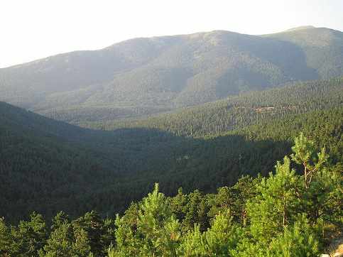 vista del valle de Valsaín