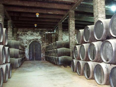 una clásica bodega de Jerez