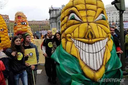 manifestantes disfrazados de maiz