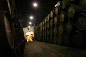 Bodega en la Rioja