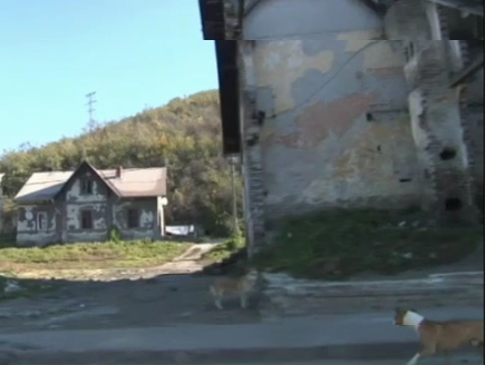 una casa en el campo, en primer plano otra medio en ruinas