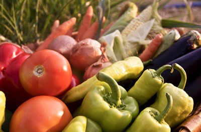 Una cesta con tomates, pimientos...